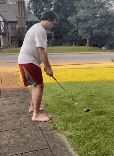 daily gifdump 34 gifs 2.html - 1 HD GIF | Premium Gallery 2026