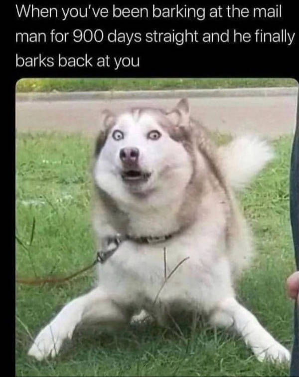 daily picdump 45 pics 21.html - 45 HD Photos | Premium Gallery 2026