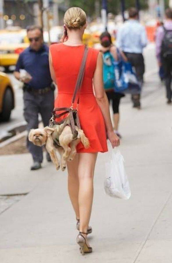 daily picdump 45 pics 21.html - 45 HD Photos | Premium Gallery 2026