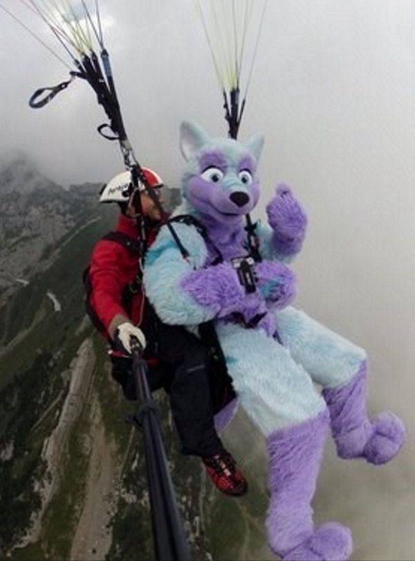 daily picdump 45 pics 21.html - 45 HD Photos | Premium Gallery 2026