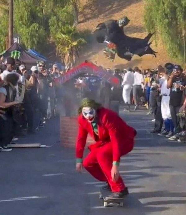 daily picdump 45 pics 21.html - 45 HD Photos | Premium Gallery 2026