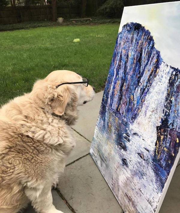 daily picdump 45 pics 21.html - 45 HD Photos | Premium Gallery 2026