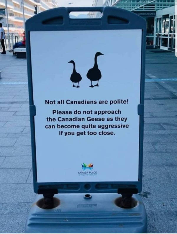 Meanwhile, In Canada…