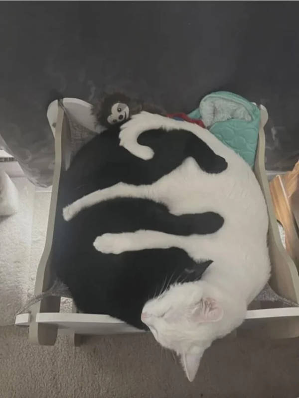 Perfect Fits That Make Your Brain Feel Good