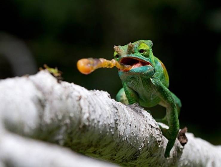 Seconds Before Everything Went Wrong