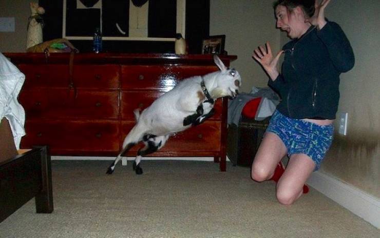 Seconds Before Everything Went Wrong