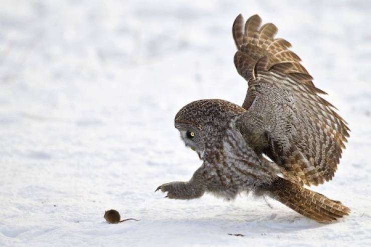 Seconds Before Everything Went Wrong