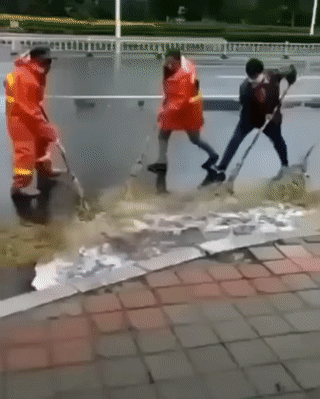 daily gifdump 46 gifs 5.html - 1 HD GIF | Premium Gallery 2026