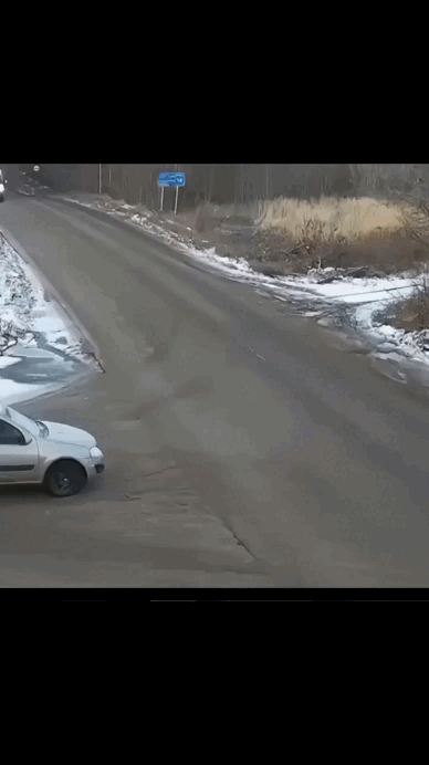 daily gifdump 46 gifs 5.html - 1 HD GIF | Premium Gallery 2026