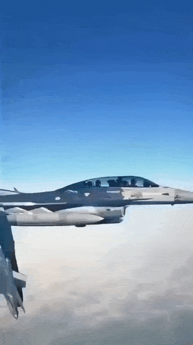 daily gifdump 46 gifs 5.html - 1 HD GIF | Premium Gallery 2026