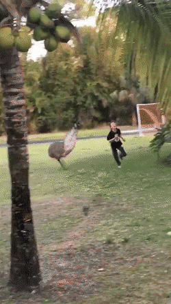 daily gifdump 46 gifs 5.html - 1 HD GIF | Premium Gallery 2026