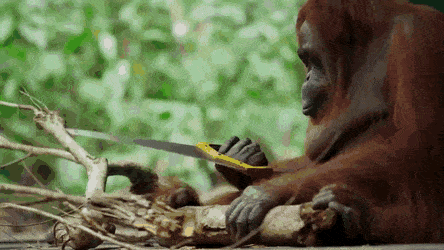 daily gifdump 46 gifs 5.html - 1 HD GIF | Premium Gallery 2026