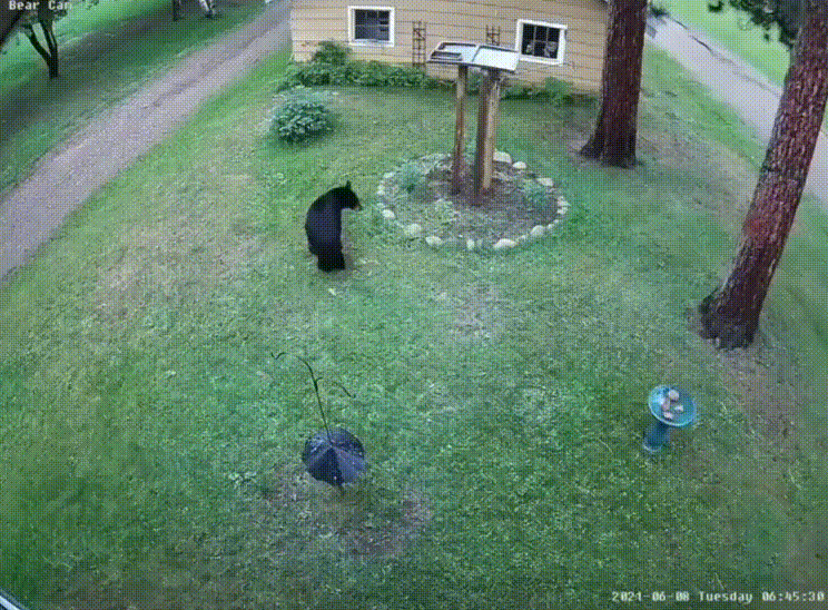 daily gifdump 46 gifs 5.html - 1 HD GIF | Premium Gallery 2026