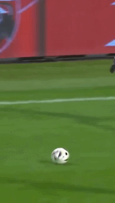 daily gifdump 46 gifs 5.html - 1 HD GIF | Premium Gallery 2026