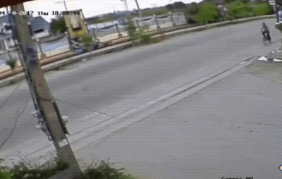 daily gifdump 46 gifs 5.html - 1 HD GIF | Premium Gallery 2026