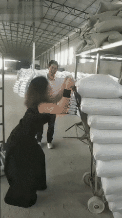 daily gifdump 46 gifs 5.html - 1 HD GIF | Premium Gallery 2026