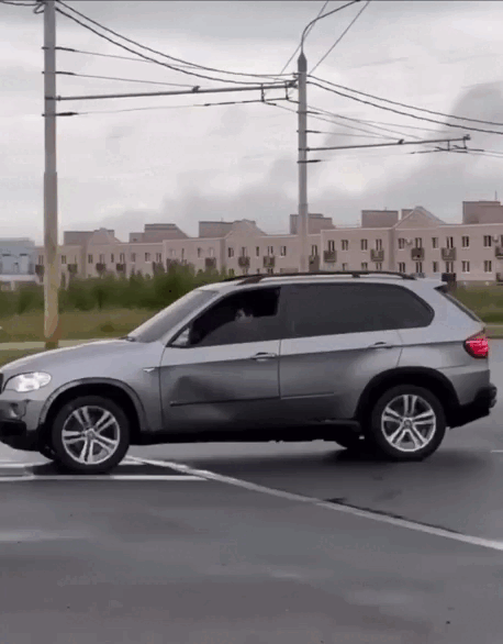 daily gifdump 46 gifs 5.html - 1 HD GIF | Premium Gallery 2026