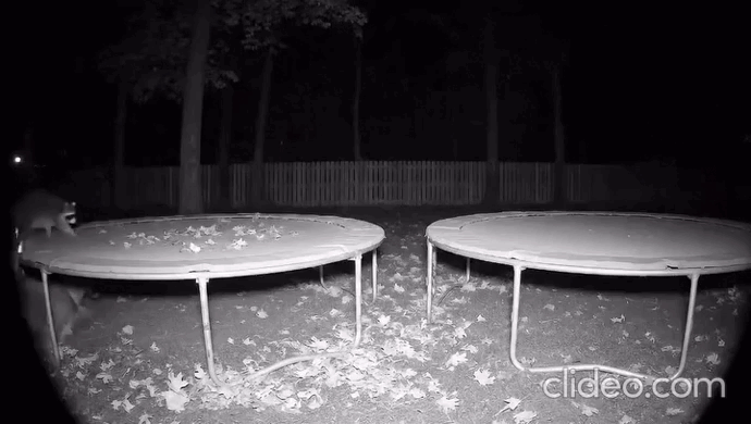 daily gifdump 46 gifs 5.html - 1 HD GIF | Premium Gallery 2026