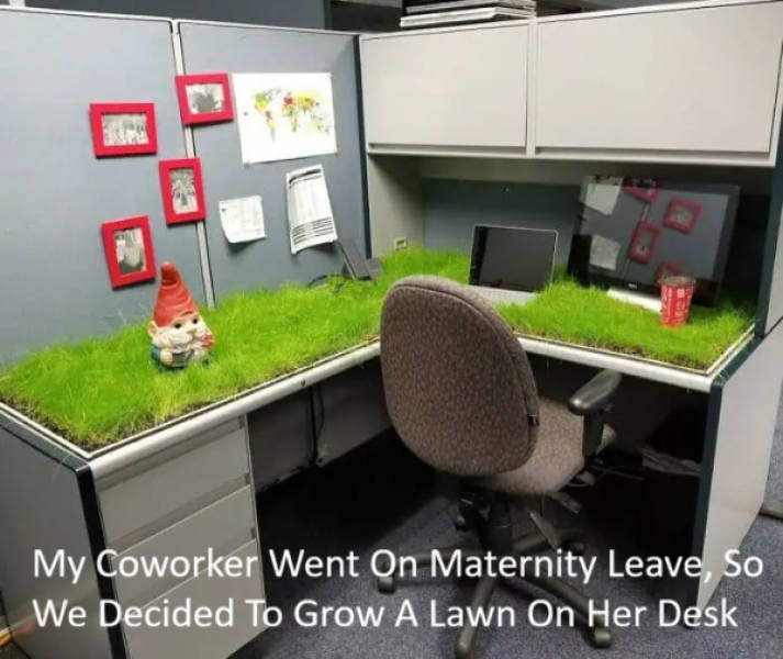 daily picdump 41 pics 14.html - 41 HD Photos | Premium Gallery 2026