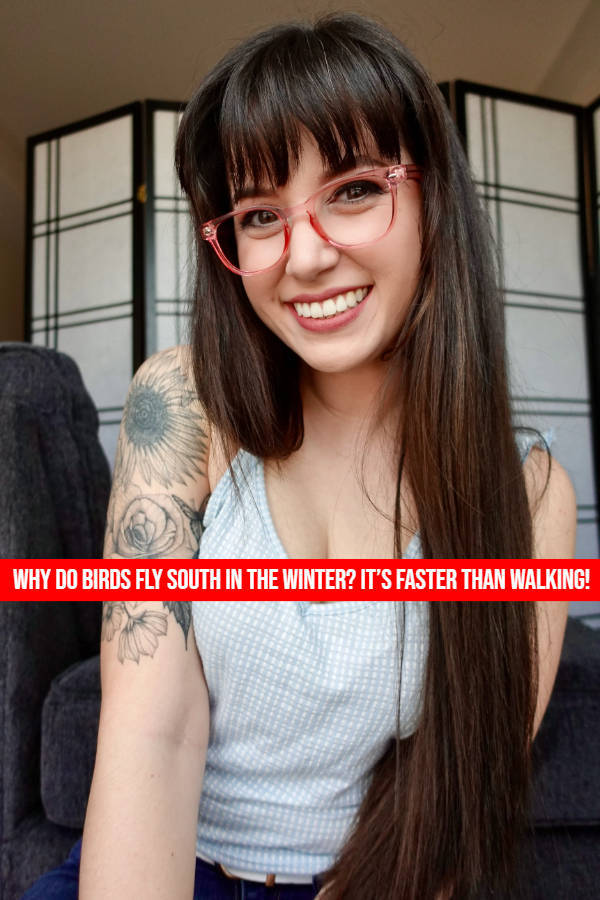 Girls, Give Us Your Best Jokes