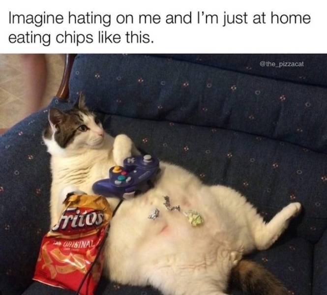 heres your meme therapy 33 pics 5.html - 33 HD Photos | Premium Gallery 2026