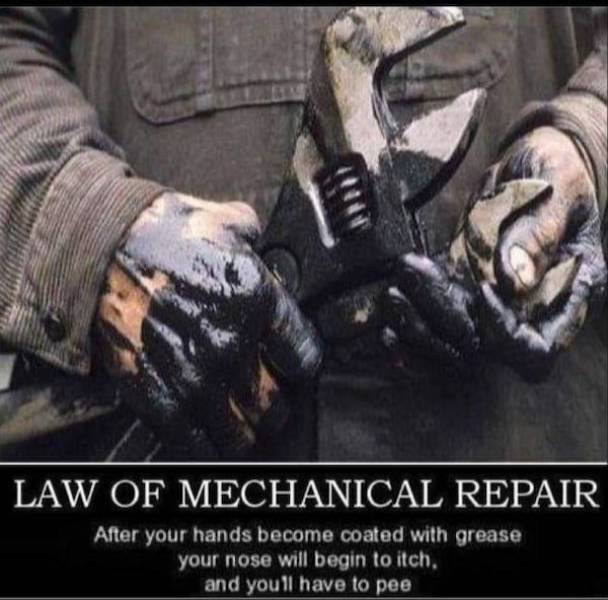 heres your meme therapy 33 pics 5.html - 33 HD Photos | Premium Gallery 2026