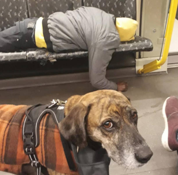 Public Transit Is a Different Universe