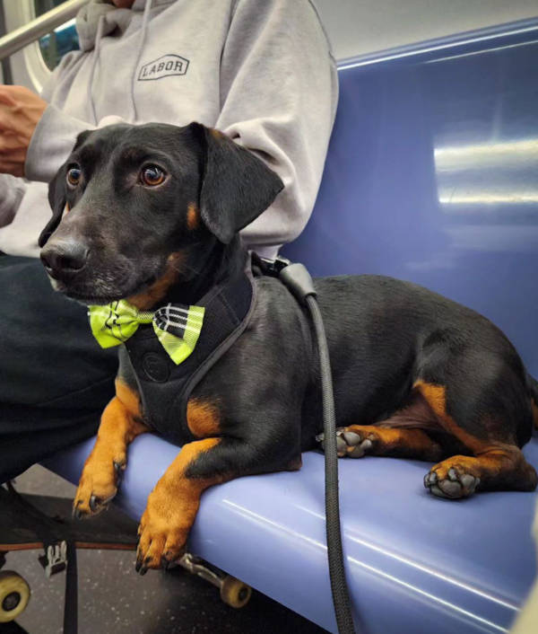 Public Transit Is a Different Universe