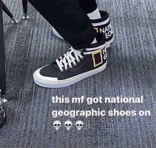 the funniest dumb pics on the internet 33 pics 10.html - 33 HD Photos | Premium Gallery 2026