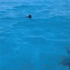 daily gifdump 45 gifs 1.html - 1 HD GIF | Premium Gallery 2026