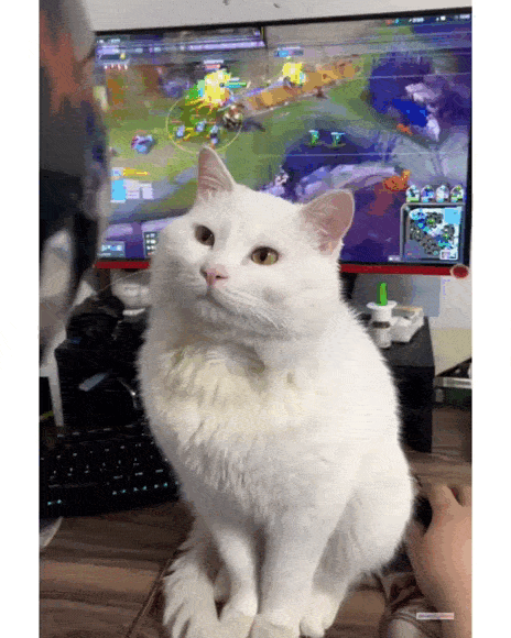 daily gifdump 45 gifs 1.html - 1 HD GIF | Premium Gallery 2026