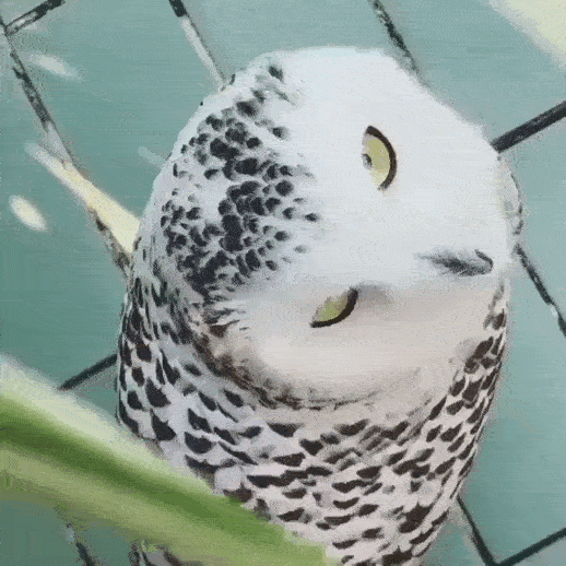 daily gifdump 45 gifs 1.html - 1 HD GIF | Premium Gallery 2026