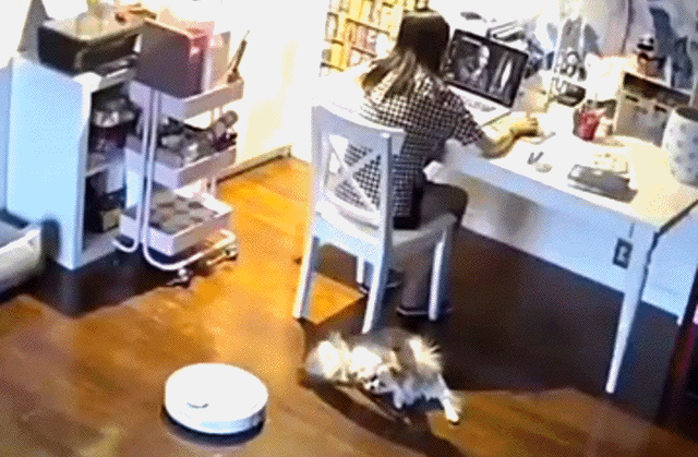 daily gifdump 45 gifs 1.html - 1 HD GIF | Premium Gallery 2026