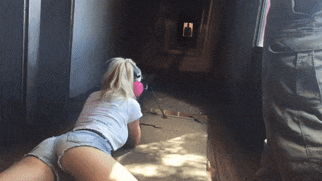fun with guns 17 gifs 4.html - 1 HD GIF | Premium Gallery 2026