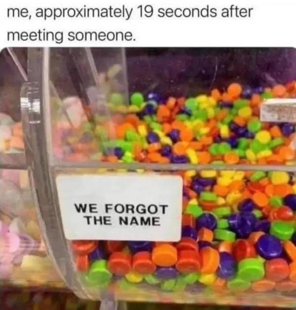 Absolutely No Thoughts, Just Memes