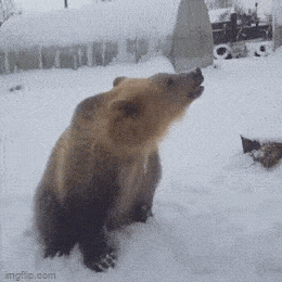 daily gifdump 43 gifs 7.html - 1 HD GIF | Premium Gallery 2026