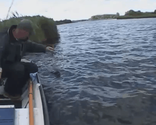 daily gifdump 43 gifs 7.html - 1 HD GIF | Premium Gallery 2026