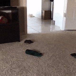 daily gifdump 43 gifs 7.html - 1 HD GIF | Premium Gallery 2026