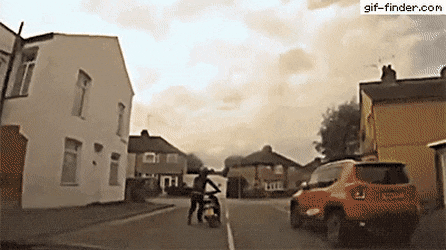 daily gifdump 43 gifs 7.html - 1 HD GIF | Premium Gallery 2026