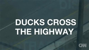 daily gifdump 43 gifs 7.html - 1 HD GIF | Premium Gallery 2026