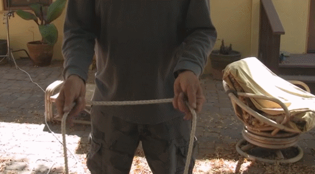 daily gifdump 43 gifs 7.html - 1 HD GIF | Premium Gallery 2026