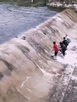 daily gifdump 43 gifs 7.html - 1 HD GIF | Premium Gallery 2026