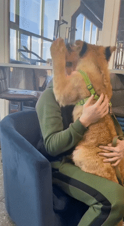 daily gifdump 43 gifs 7.html - 1 HD GIF | Premium Gallery 2026