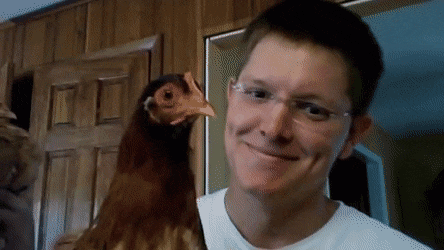 daily gifdump 43 gifs 7.html - 1 HD GIF | Premium Gallery 2026