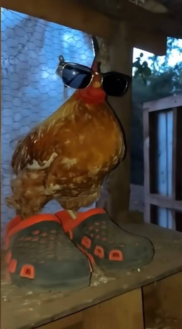 Being Weird Is A Superpower!