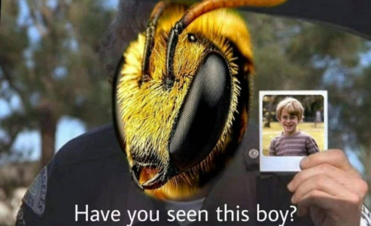 Certified Dank Memes You Need Right Now