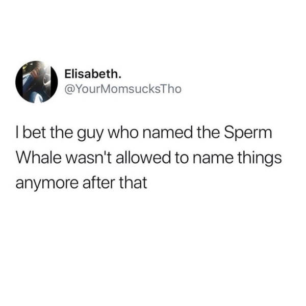 certified dank memes you need right now 38 pics 15.html - 38 HD Photos | Premium Gallery 2026