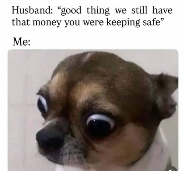 certified dank memes you need right now 38 pics 15.html - 38 HD Photos | Premium Gallery 2026