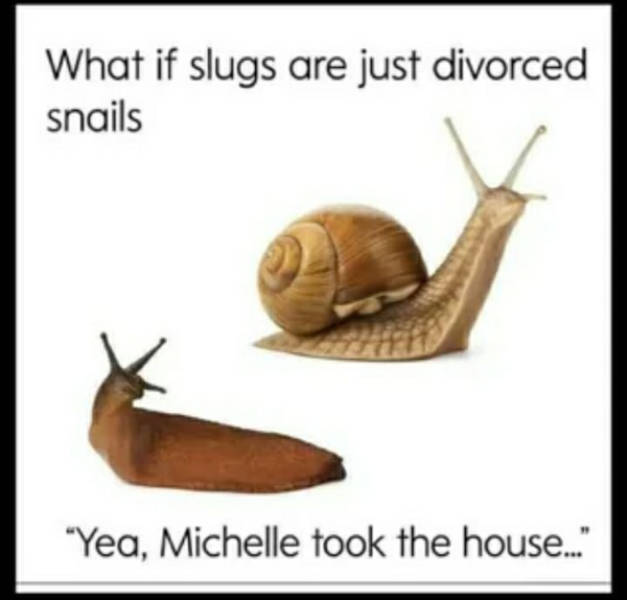 certified dank memes you need right now 38 pics 15.html - 38 HD Photos | Premium Gallery 2026