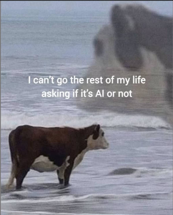 Certified Dank Memes You Need Right Now